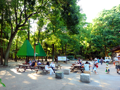 手賀の丘公園